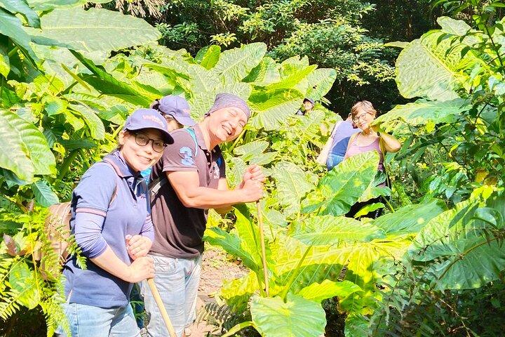 One Day Trekking Cat Ba National Park