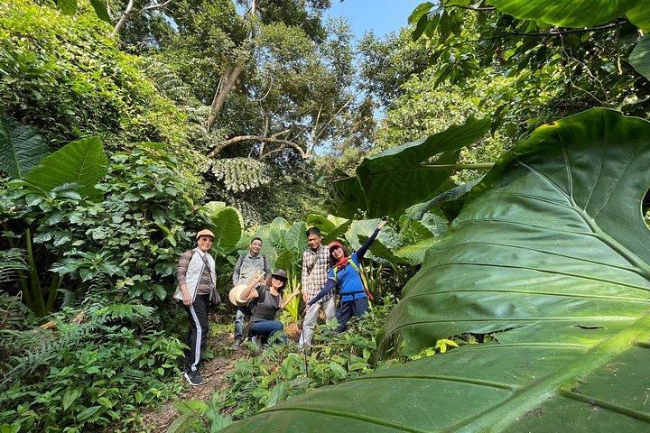 One Day Trekking Cat Ba National Park