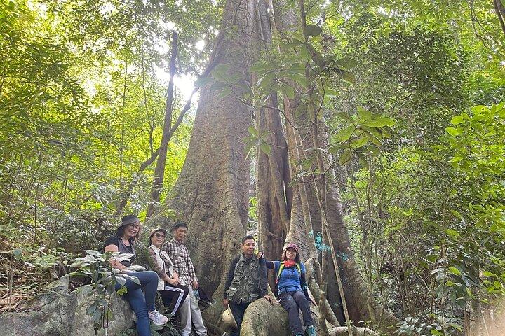 One Day Trekking Cat Ba National Park