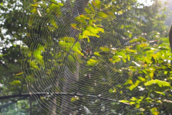 One Day Trekking Cat Ba National Park