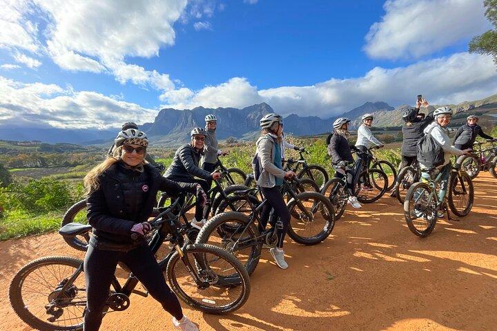 Tour del vino en bicicleta eléctrica por el campo de Stellenbosch (medio día)