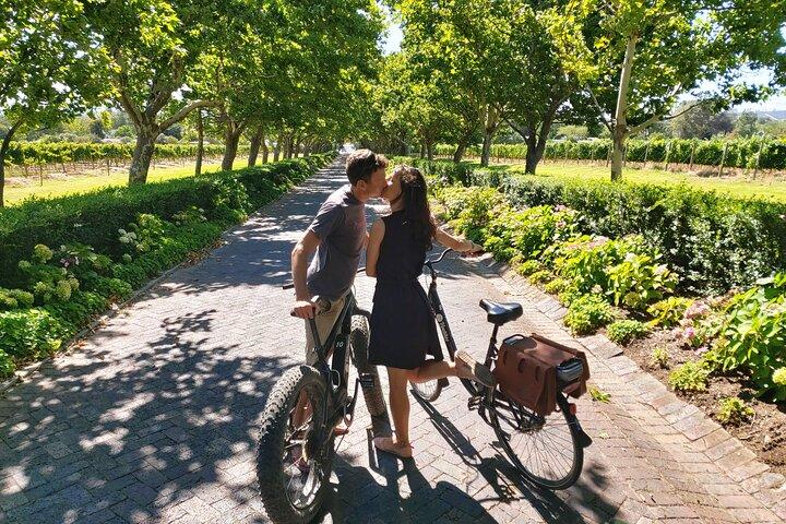 Tour del vino in bici elettrica Stellenbosch (mezza giornata)