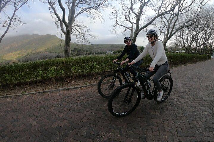 Tour del vino in bici elettrica Stellenbosch (mezza giornata)