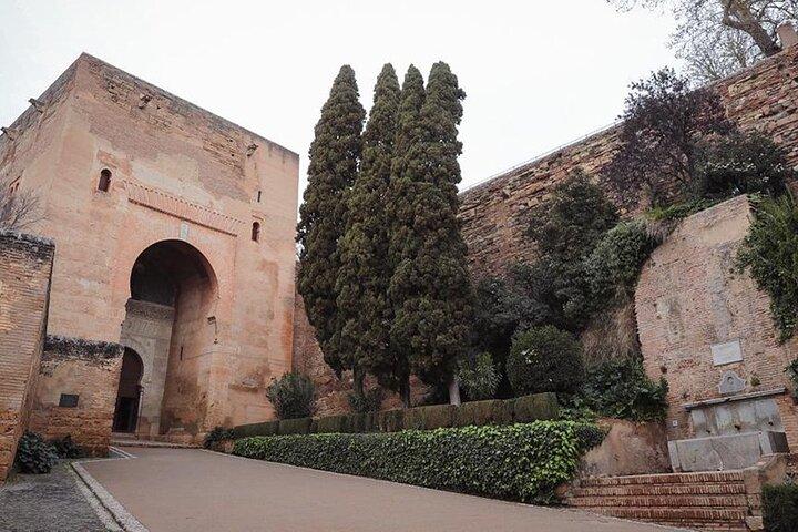 Visite de l'Alhambra avec le palais Generalife et les jardins