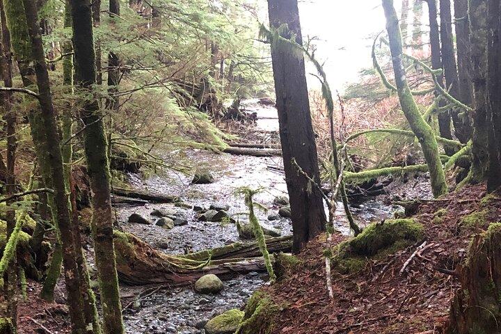 Ketchikan Exclusive Private Group Tour (Price up to 11 Passengers)