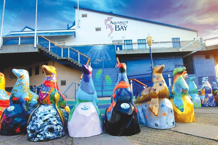 Aquarium of the Bay General Admission Ticket