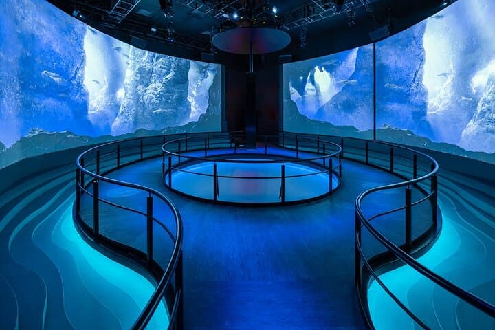 Flyover in Las Vegas: An Immersive Flying Ride Experience