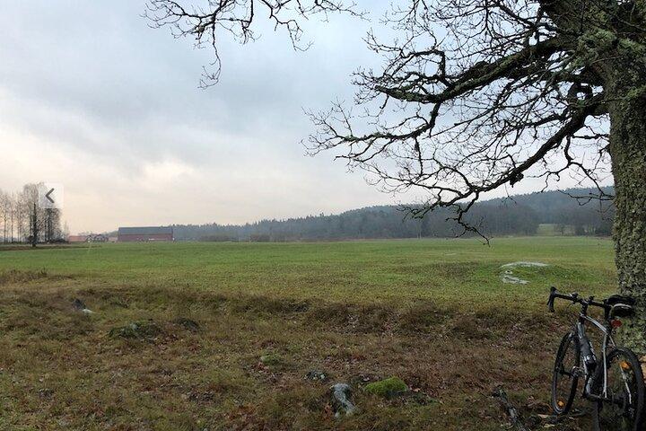 Excursão de Estocolmo: Explore Hellasgården & trilhas florestais