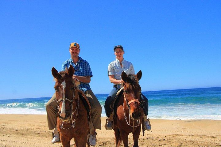 カボ ホワイト サンド乗馬ツアーとテキーラ テイスティング