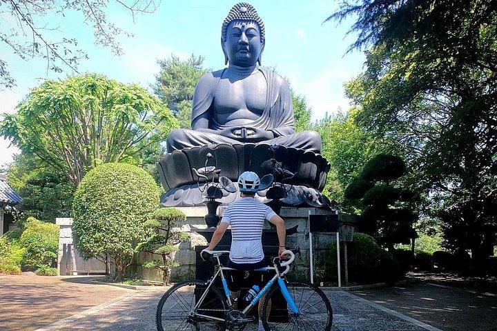 English/Italian guided cycling tour in Tokyo(with a rental bike)