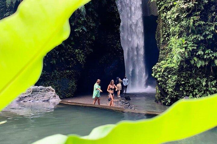 Tour des cascades et des temples de Bali