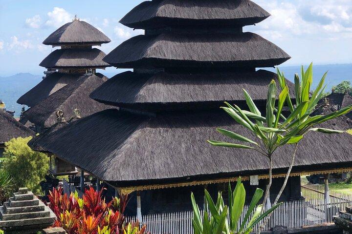 Tour delle cascate e templi di Bali