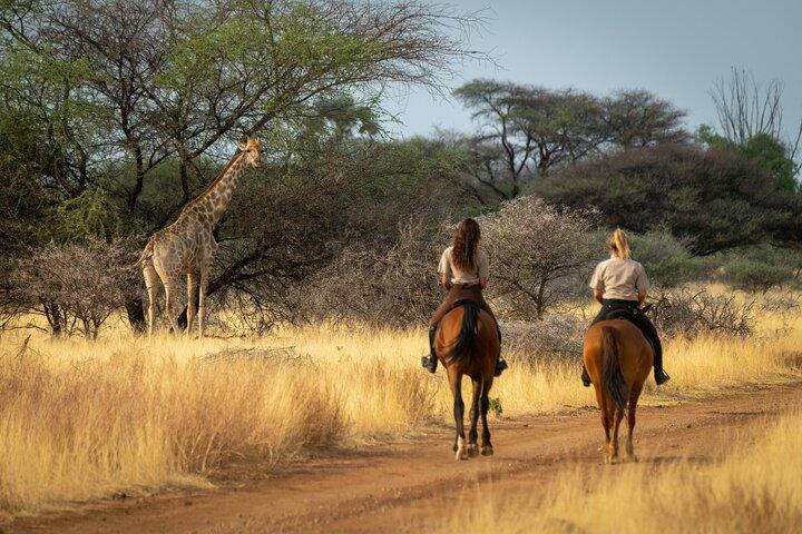 Safari a caballo desde Johannesburgo