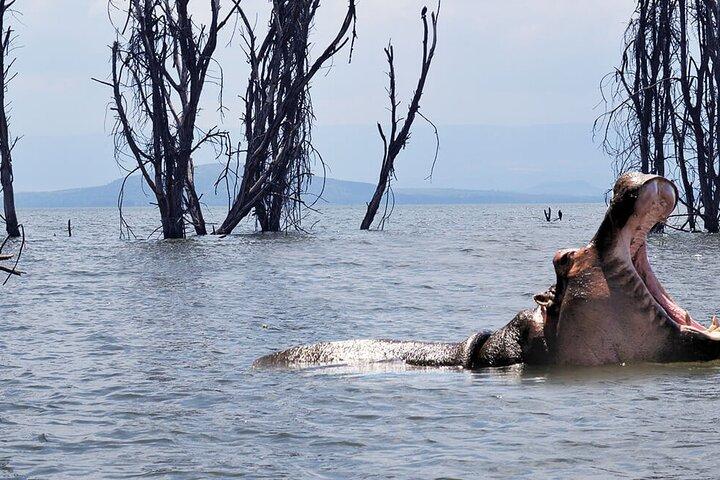 Gita di un giorno a Nairobi al Crescent Island Game Park dal lago Naivasha