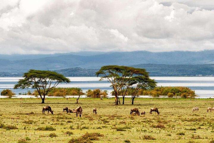 Gita di un giorno a Nairobi al Crescent Island Game Park dal lago Naivasha