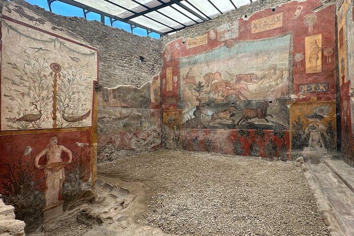 Explore as Ruínas de Pompeia a partir de Positano