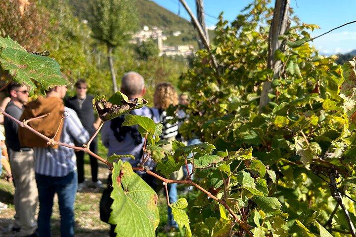 Excursão Privada Prosecco Road All Inclusive de Veneza