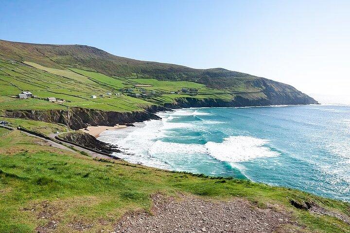 Visite privée de Dingle et Slea Head
