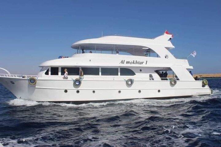 Día de snorkel en White Island y Ras Mohamed con el mejor yate VIP