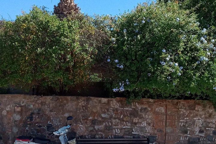 Visita guiada a pie en Marrakech