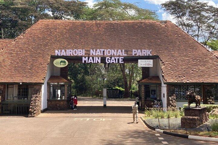 Halvdagstur i Nairobi National Park; Gratis wifi-forbindelse