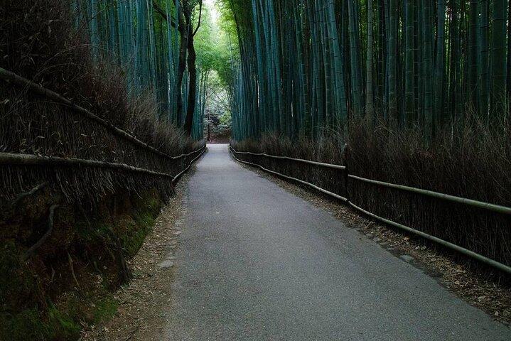 Historische Kyoto E-Bike Tour