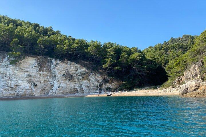 Passeio de barco guiado privado de 4 horas em Vieste