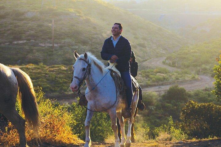 Passeggiata a cavallo Las Cañadas (con trasporto di lusso)