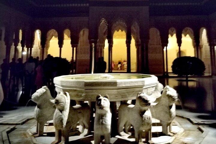 Visite Nocturne de Alhambra et les Palais Nasrides