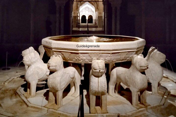 Visite Nocturne de Alhambra et les Palais Nasrides
