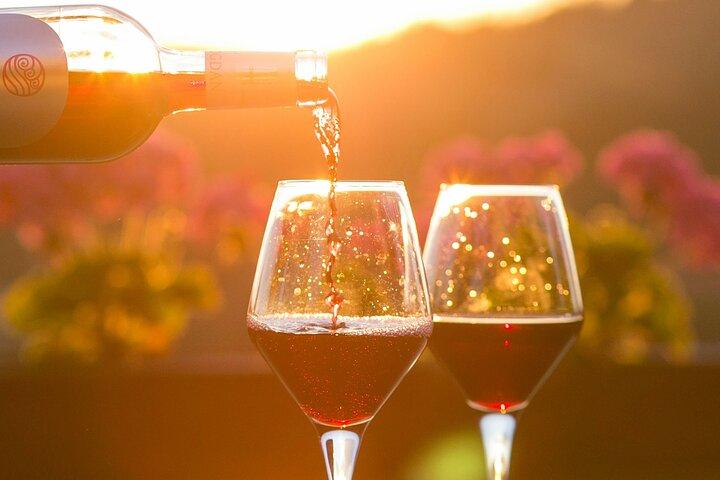Private Wine Cellar Tour Near Rome