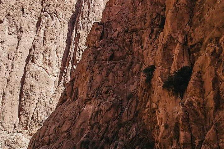 3 days dessert tour to Merzouga from Marrakech