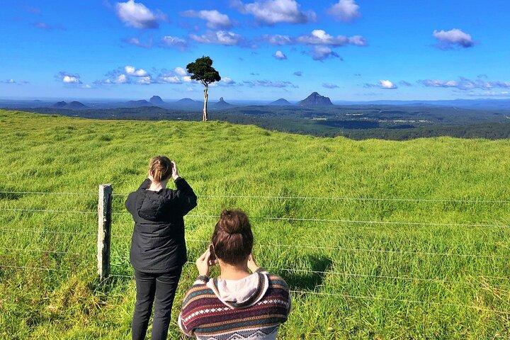 Punti salienti dell'entroterra della Sunshine Coast: scopri Maleny e Montville