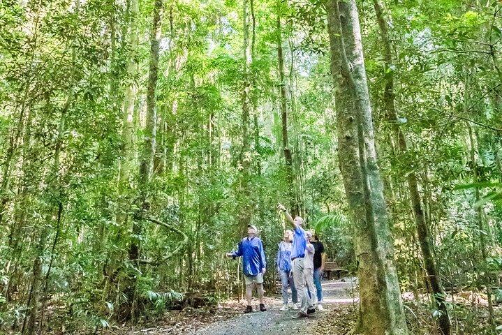 Punti salienti dell'entroterra della Sunshine Coast: scopri Maleny e Montville