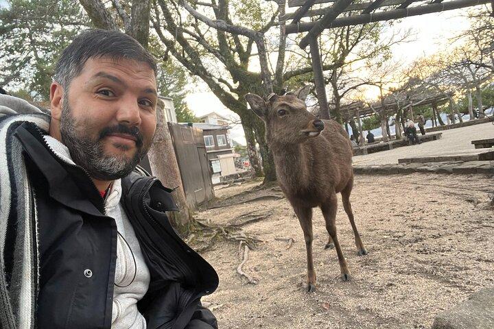 大阪または京都発、広島のプライベートガイドツアー