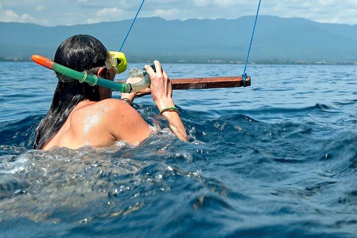 ロビナのイルカウォッチング、水泳、シュノーケリング体験