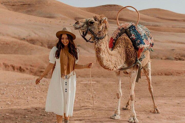 paragliding in Agafay Desert with Camel Ride