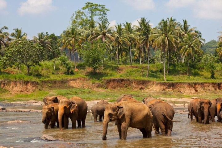 Bangkok: mondo safari e parco marino