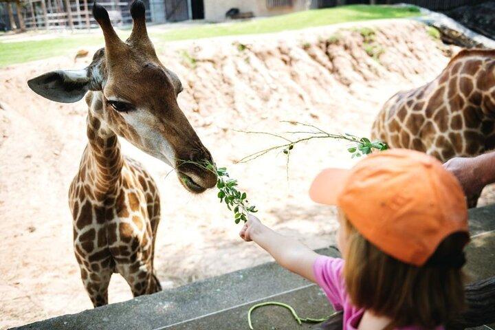 Bangkok: mondo safari e parco marino