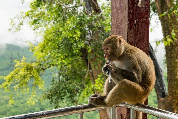 Bangkok: mondo safari e parco marino