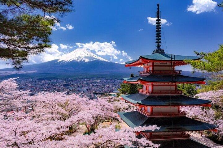 Excursión privada desde Tokio con guía inglés