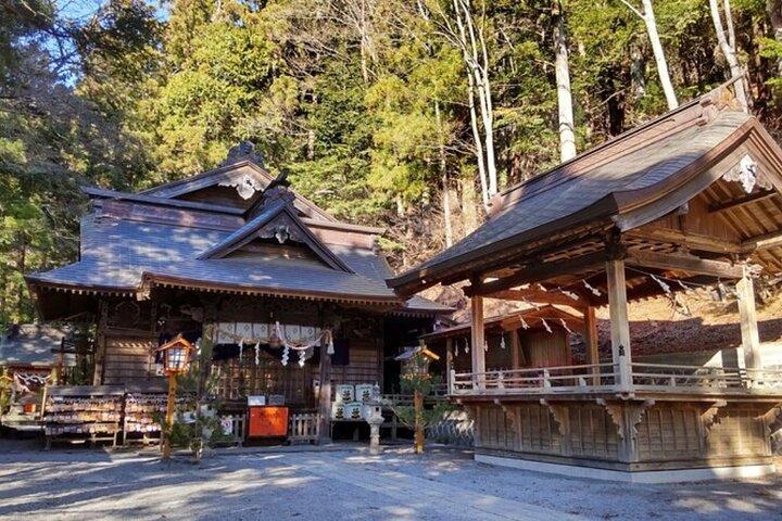 Excursión privada desde Tokio con guía inglés