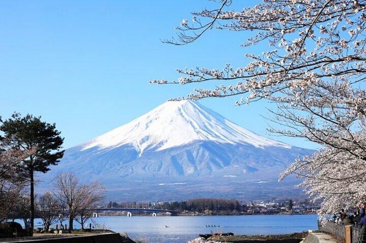 Excursión privada desde Tokio con guía inglés