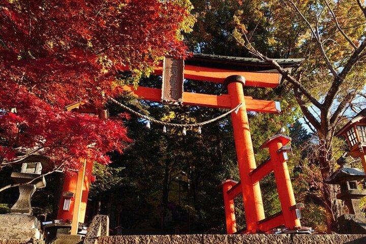 Excursión privada desde Tokio con guía inglés