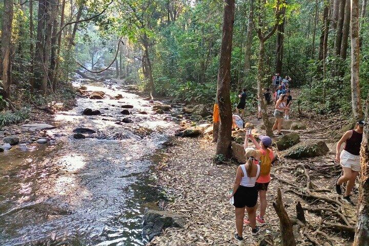 3 in 1: tour di Doi Inthanon, Santuario degli elefanti e sentiero di trekking