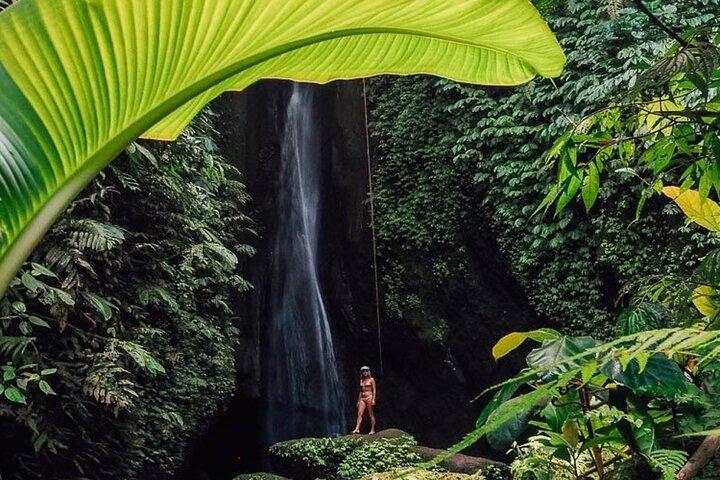 Bali: excursión privada de un día al norte de Bali con traslado