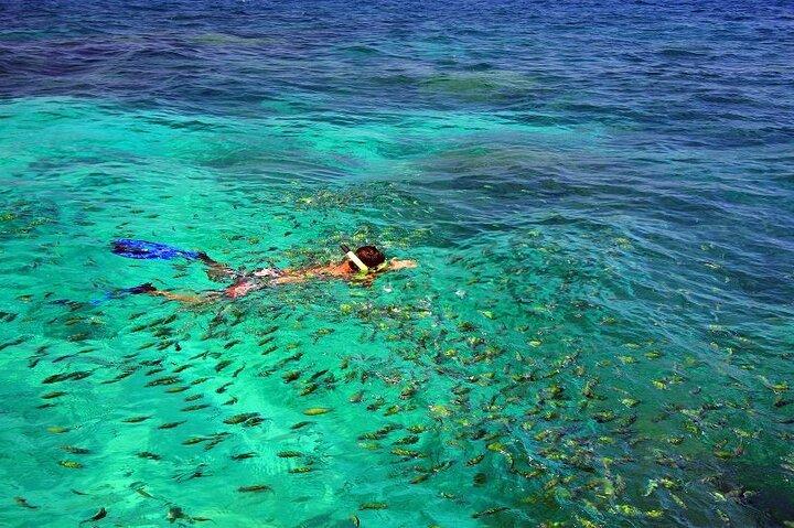 Dagtrip naar de Similan-eilanden per speedboot vanuit Khaolak/Phuket