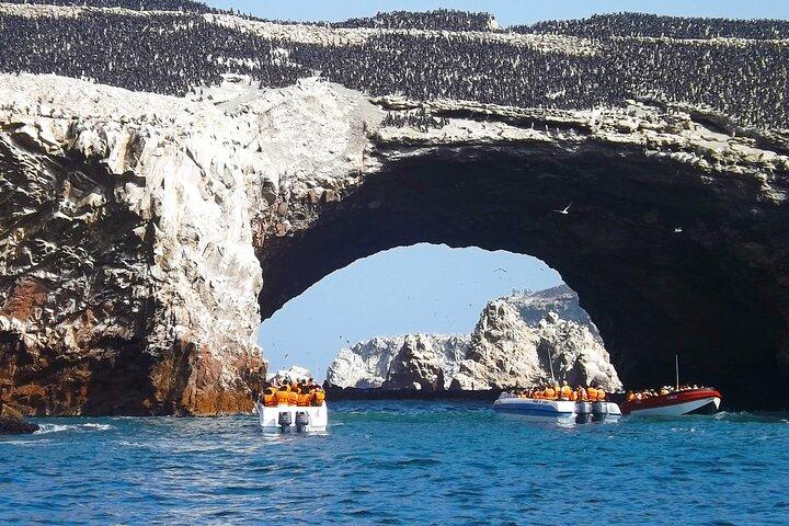 Volledige dagtour om de Ballestas-eilanden en het Paracas-reservaat te bezoeken