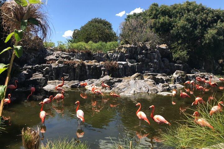 テマイケン バイオパークへのチケット