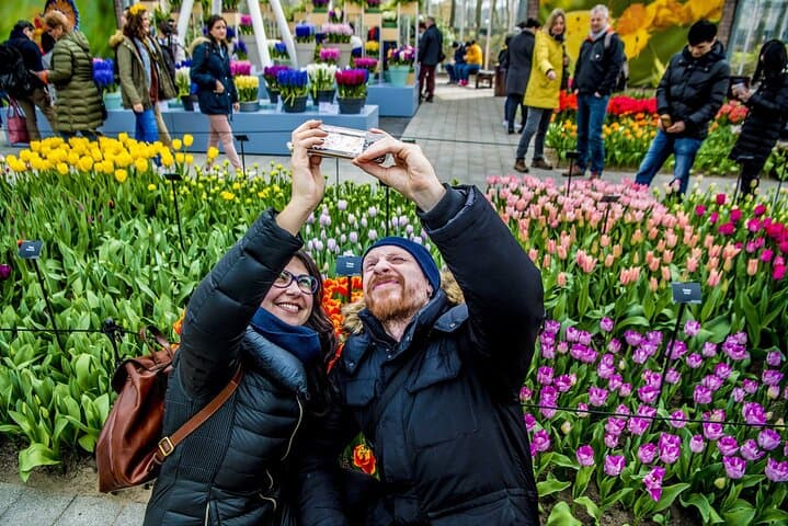 From Amsterdam: Keukenhof Gardens & Windmill Cruise Tour